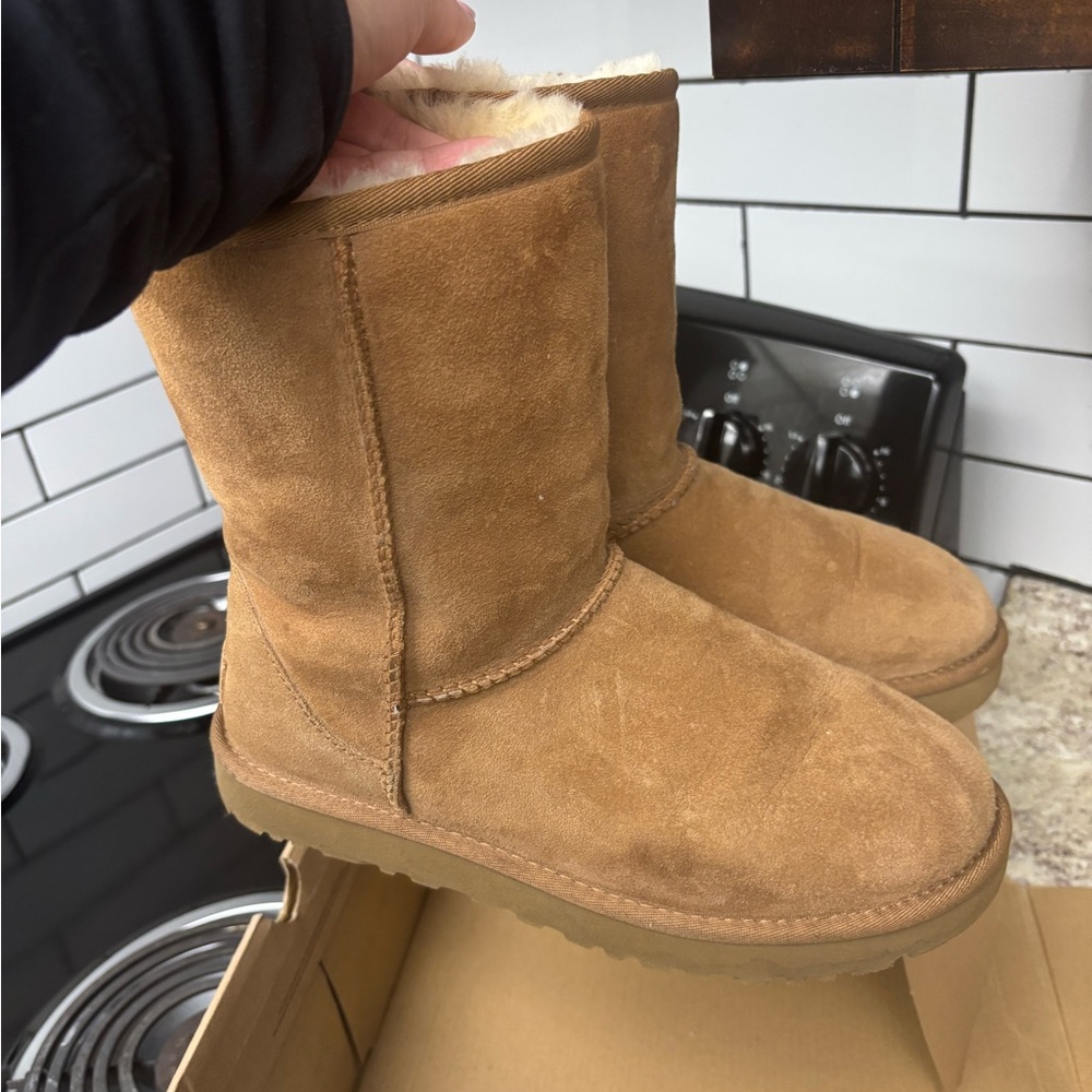 Chestnut classic short uggs
